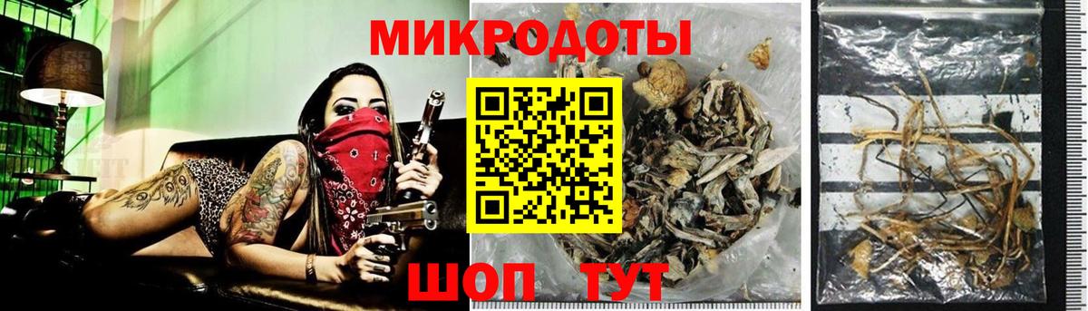 хочу   Псилоцибиновые грибы MAGIC MUSHROOMS  Псилоцибиновые грибы GOLDEN TEACHER  Вход с VPN  Черемхово 